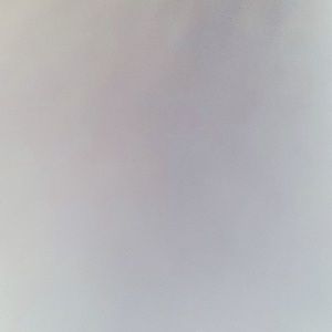 Meet your Posher, Allan